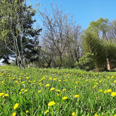 Chambre Soignee Et Accueillante A La Campagne - Ch. Jaune L'Honor-de-Cos ภายนอก รูปภาพ
