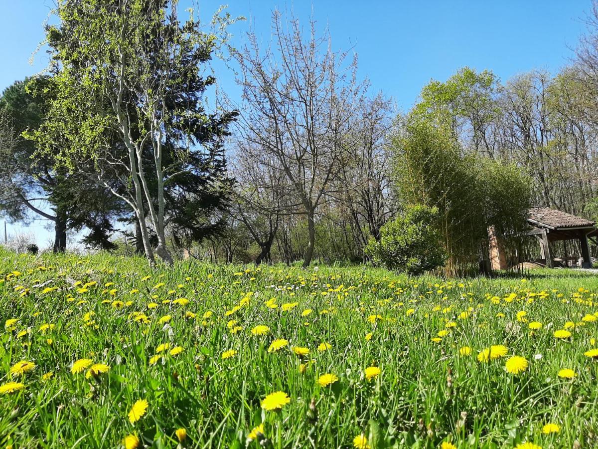 Chambre Soignee Et Accueillante A La Campagne - Ch. Jaune L'Honor-de-Cos ภายนอก รูปภาพ
